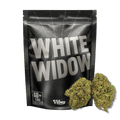 White Widow CBD 🕷️ | Vibes