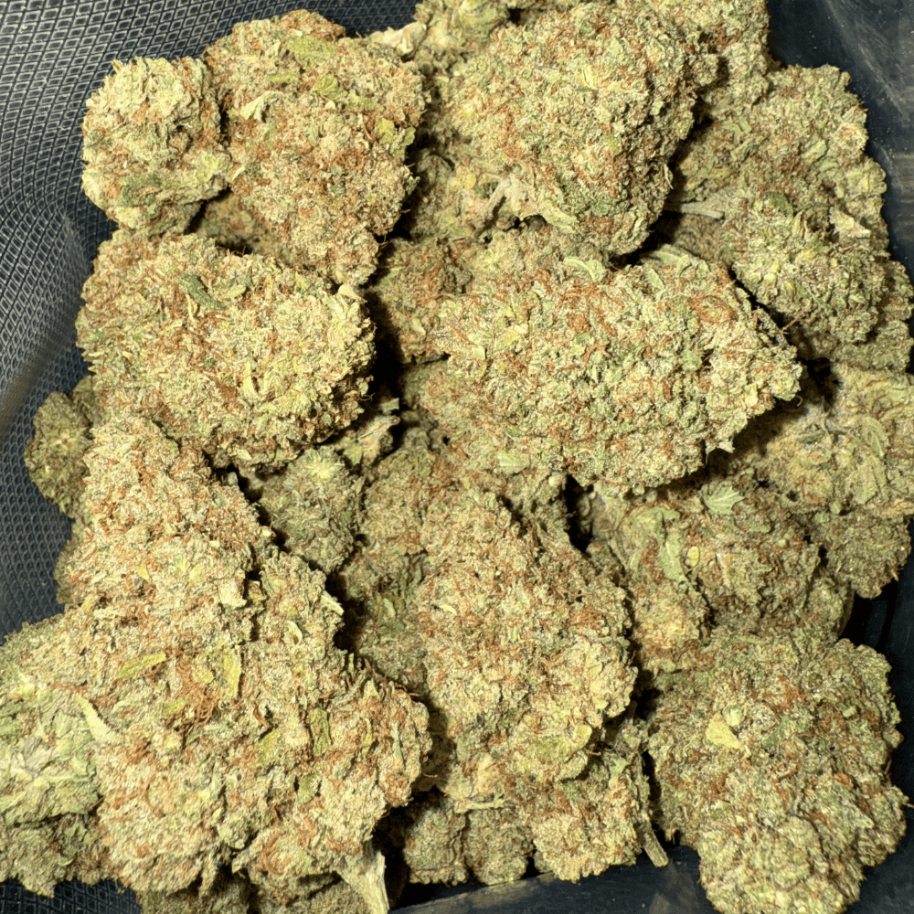 White Widow CBD 🕷️ | Vibes