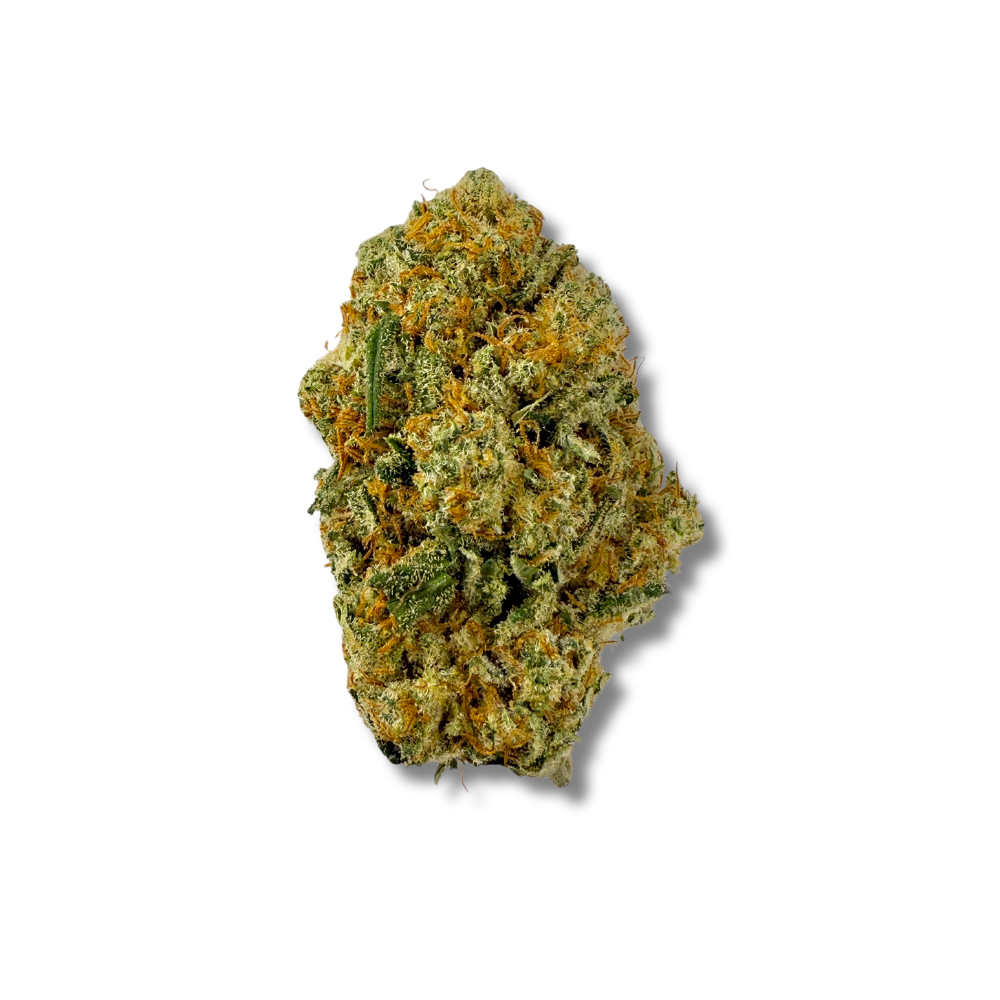 Amnesia Haze CBD 🐠 | Vibes