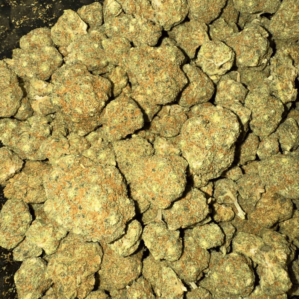 Obiwan OG CBC 🚀 | Vibes